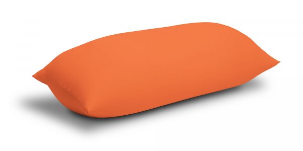 TER_200_Baloo_Oranje